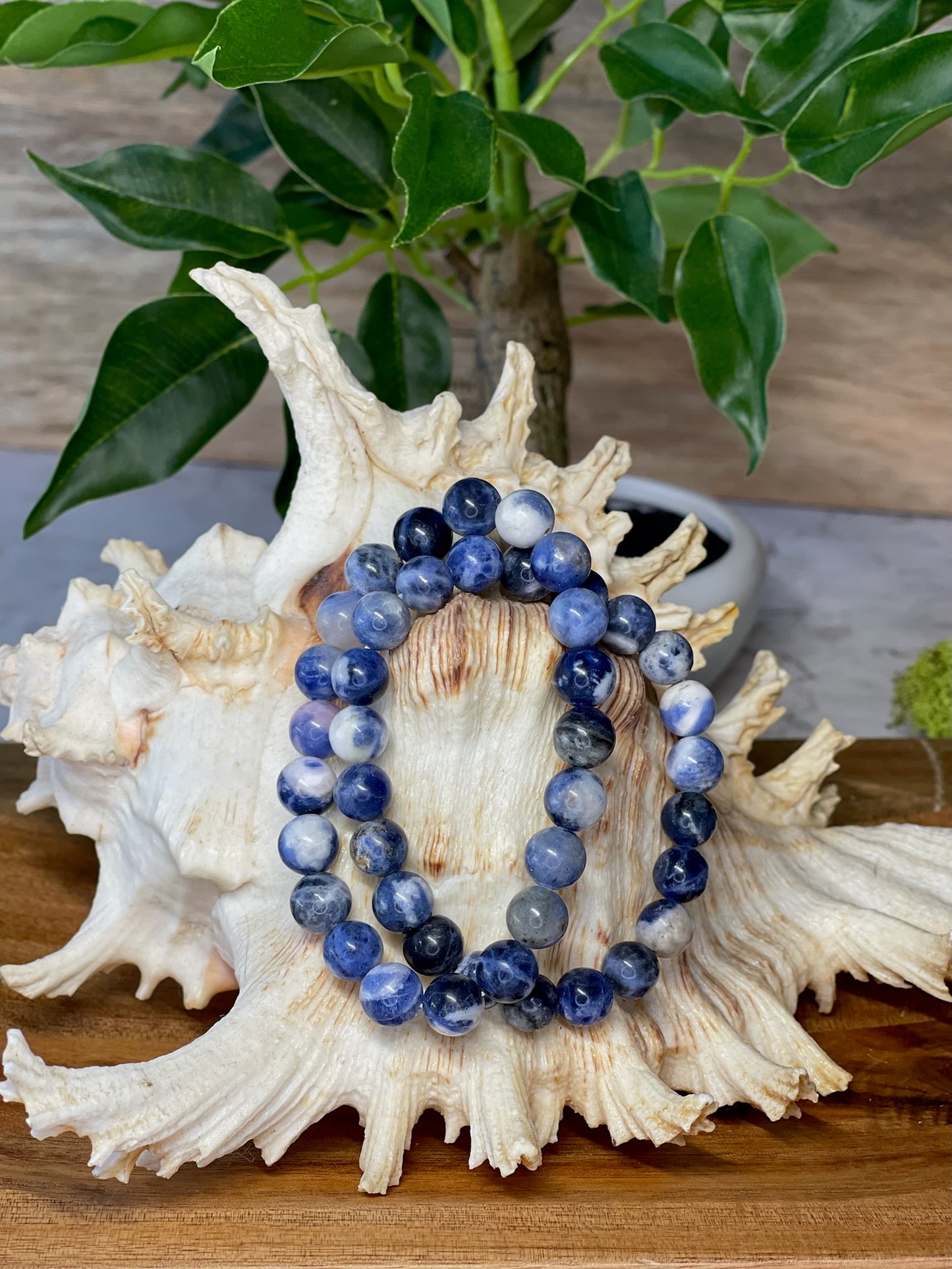 Sodalite Bracelet