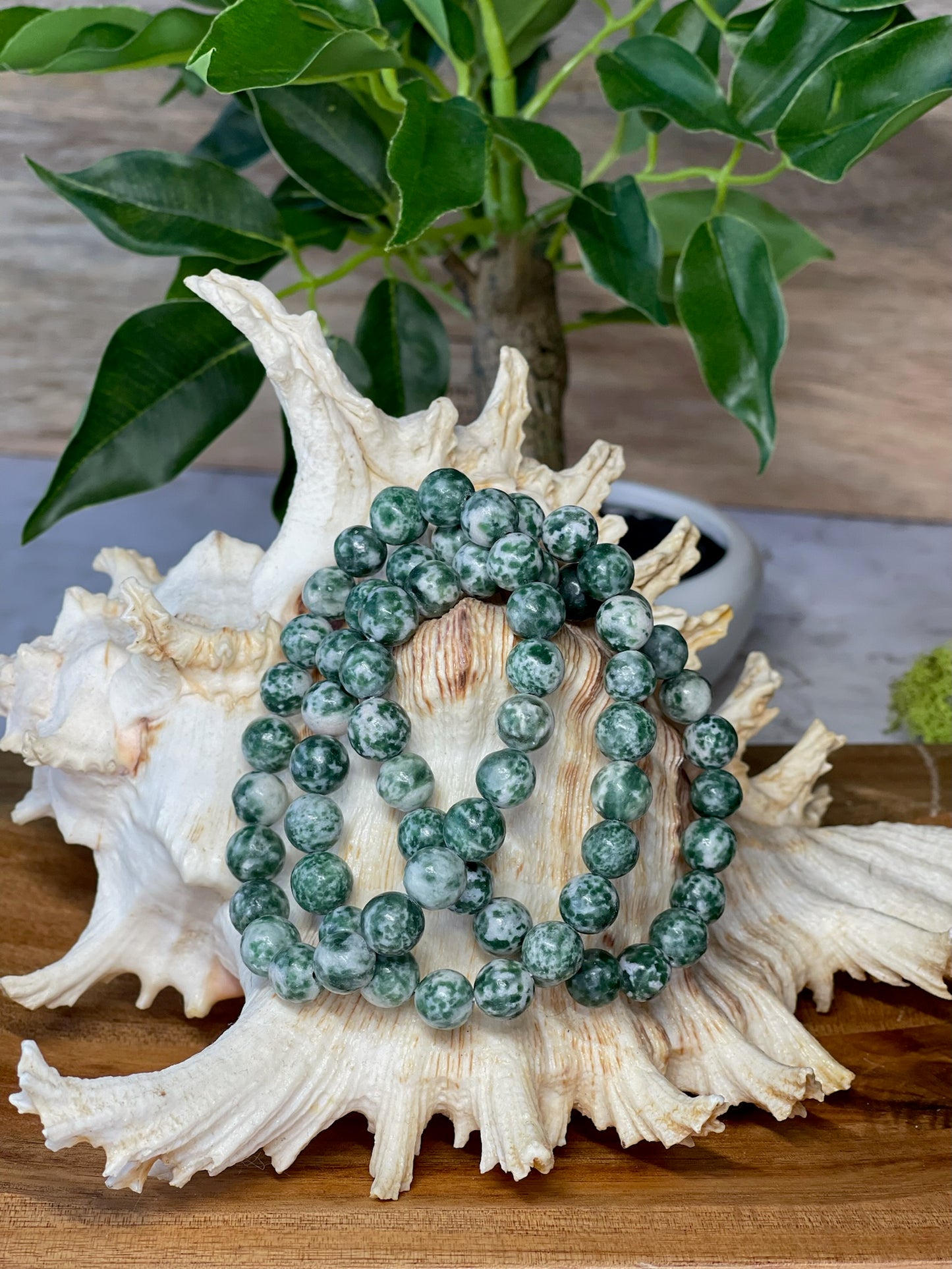 Tree Agate Bracelet