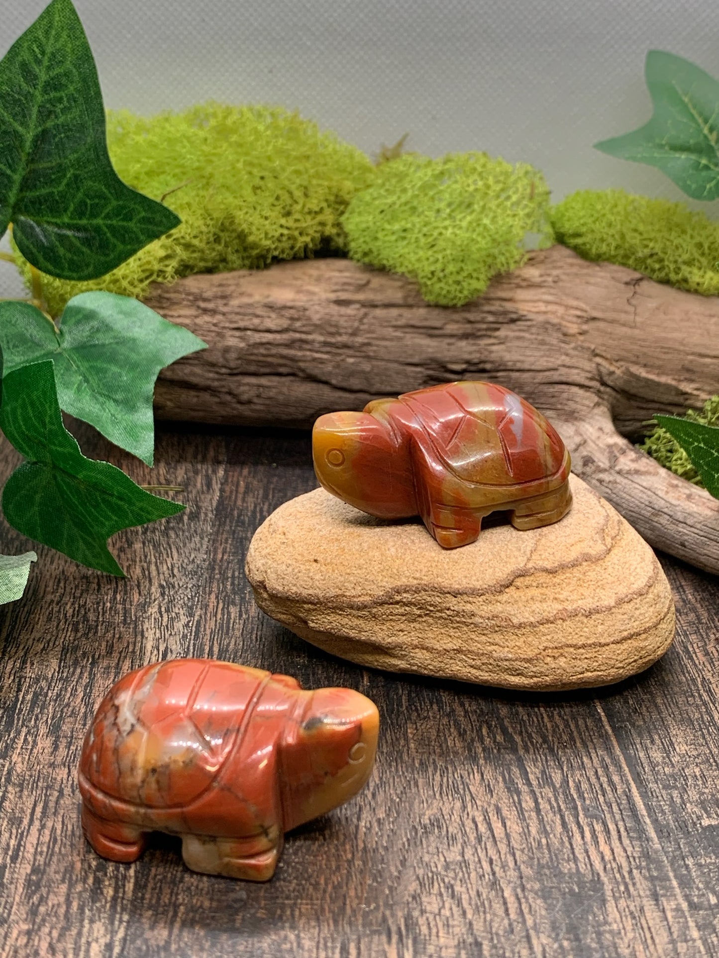 Mookaite Turtle Carving