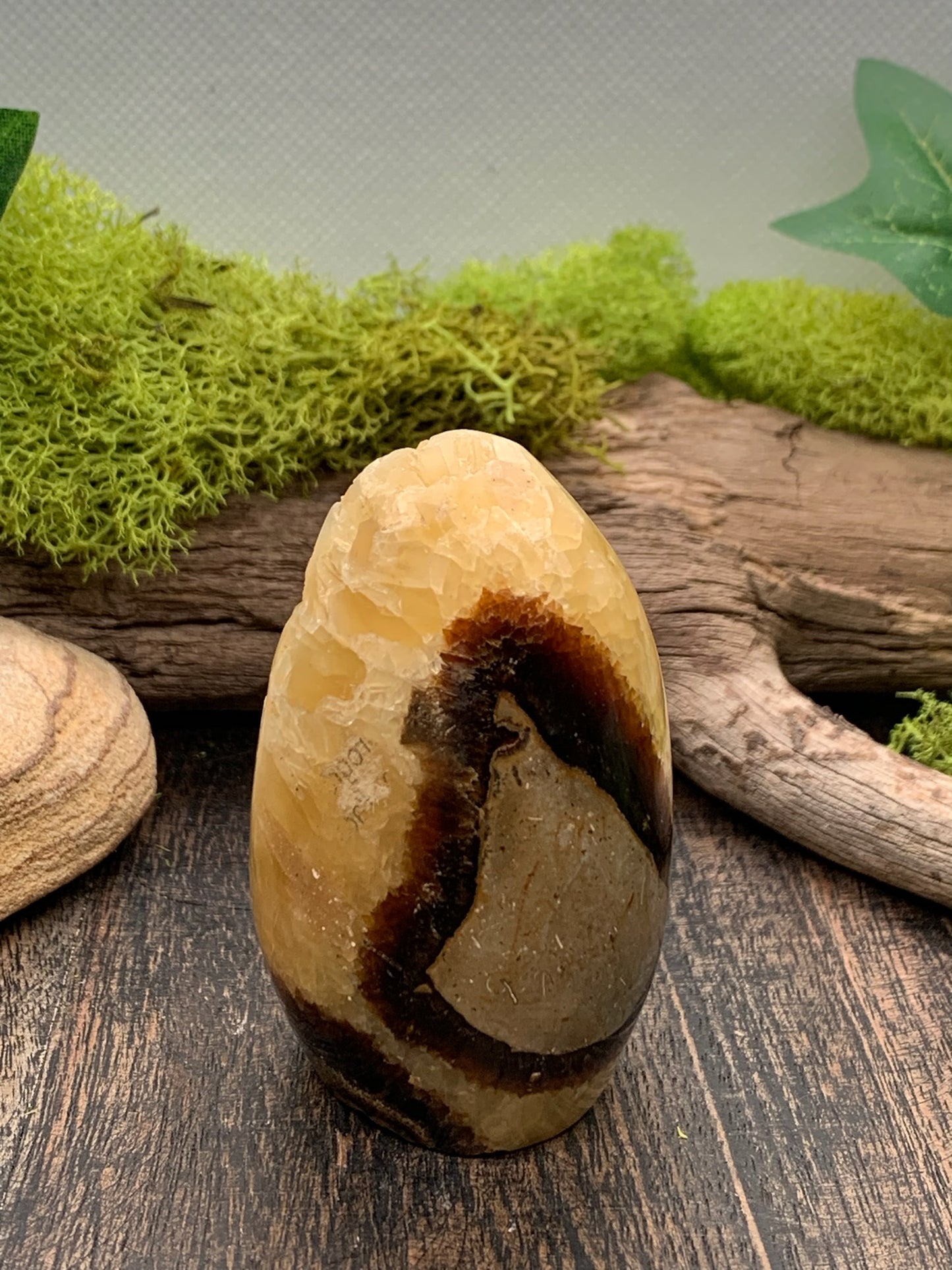 Septarian Freeform