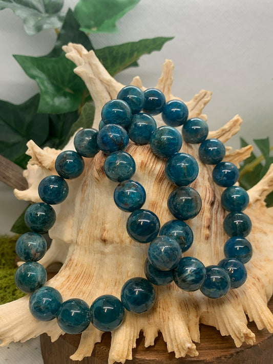 Blue Apatite Bracelet 12mm Bead