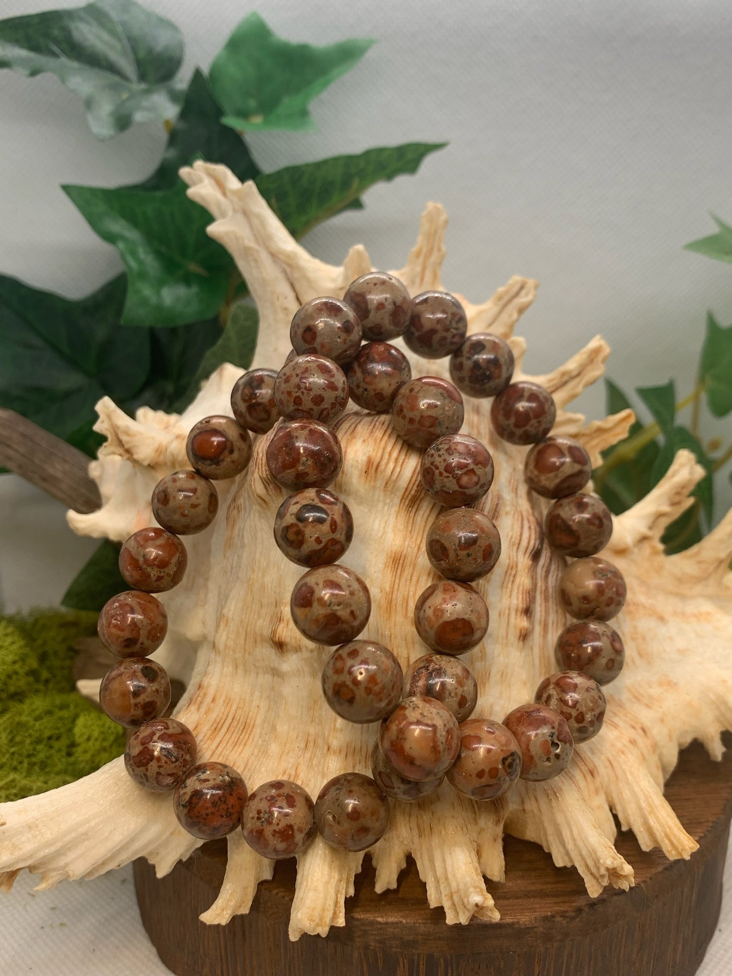 Leopard Jasper Bracelet 11mm bead