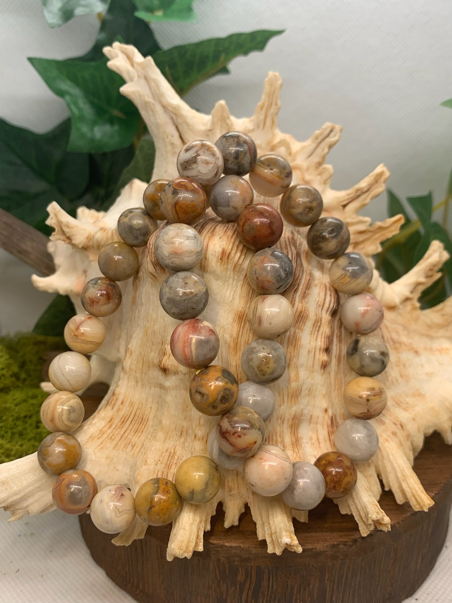 Crazy Lace Agate Bracelet