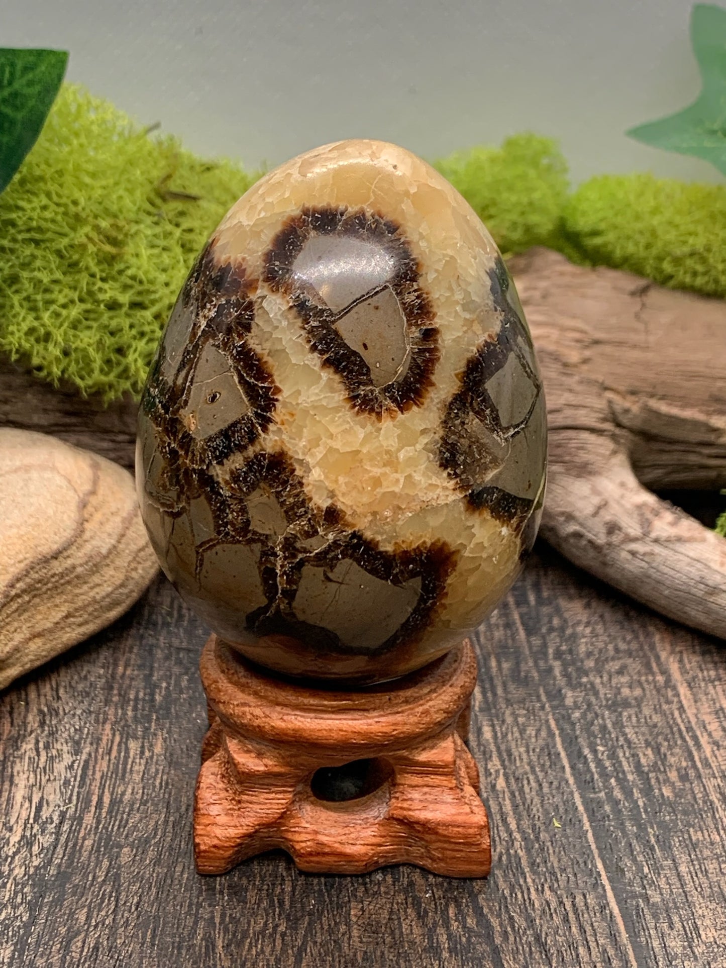 Septarian Egg Carving