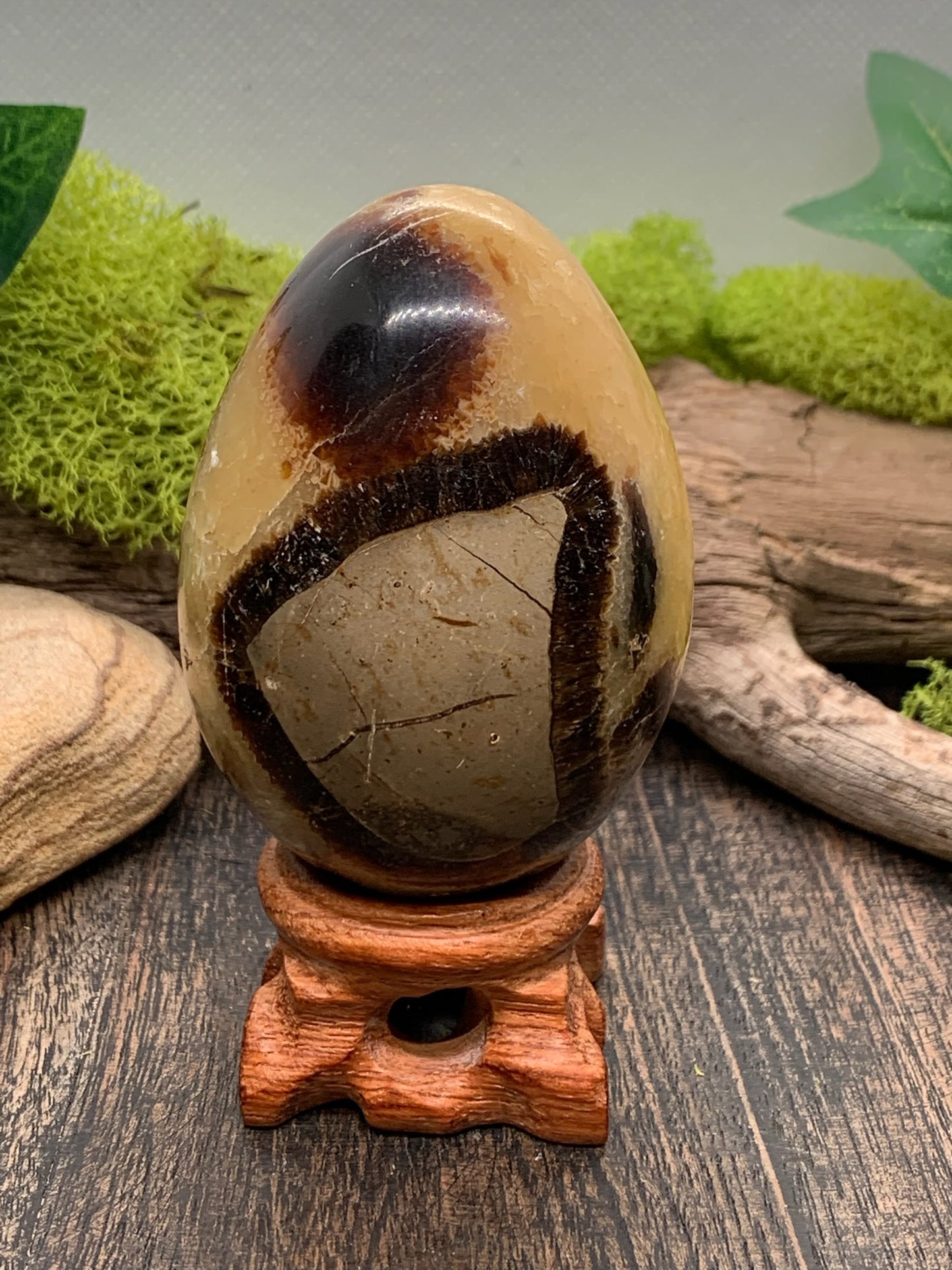 Septarian Egg Carving