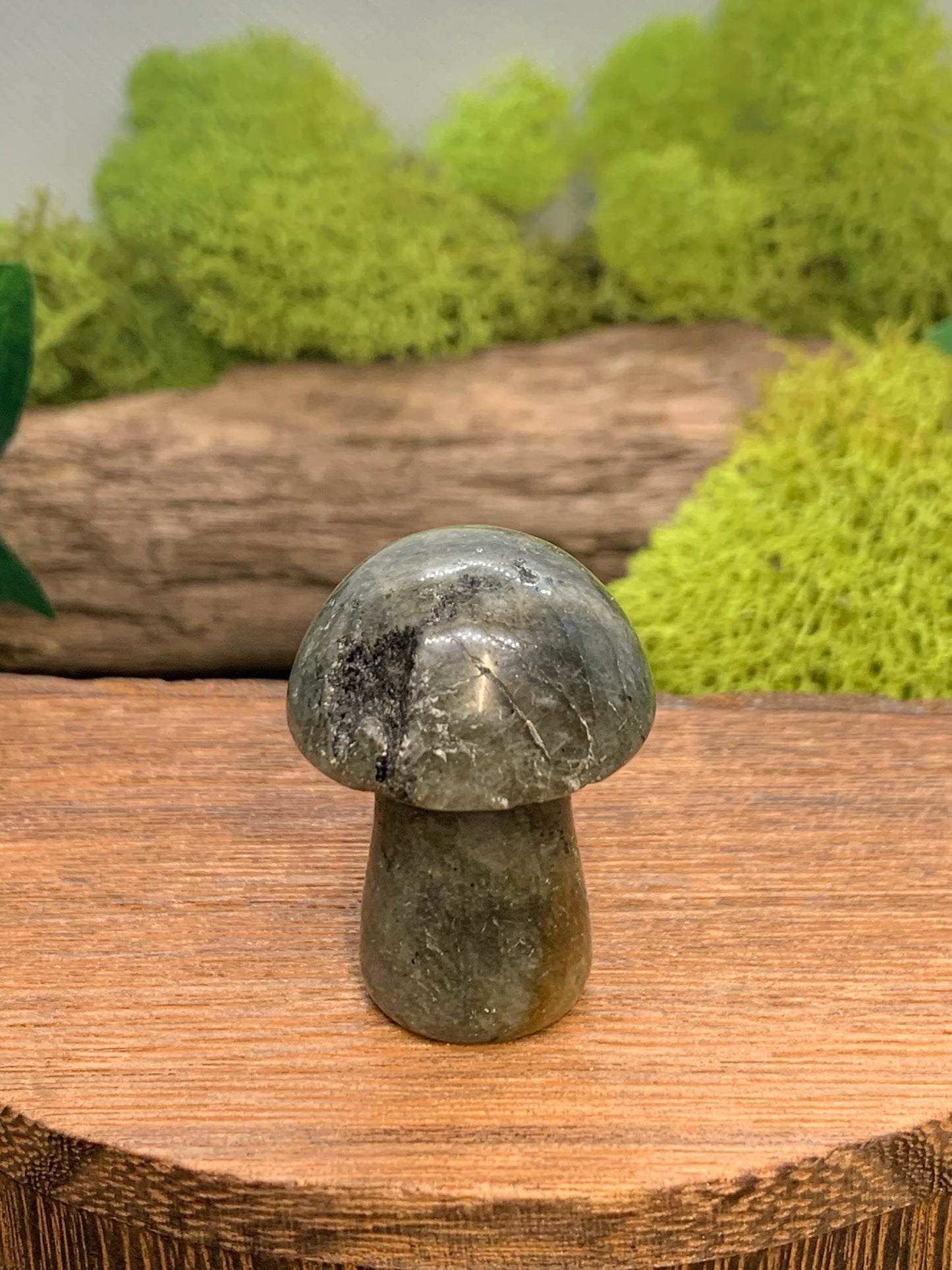 Mushroom Carving