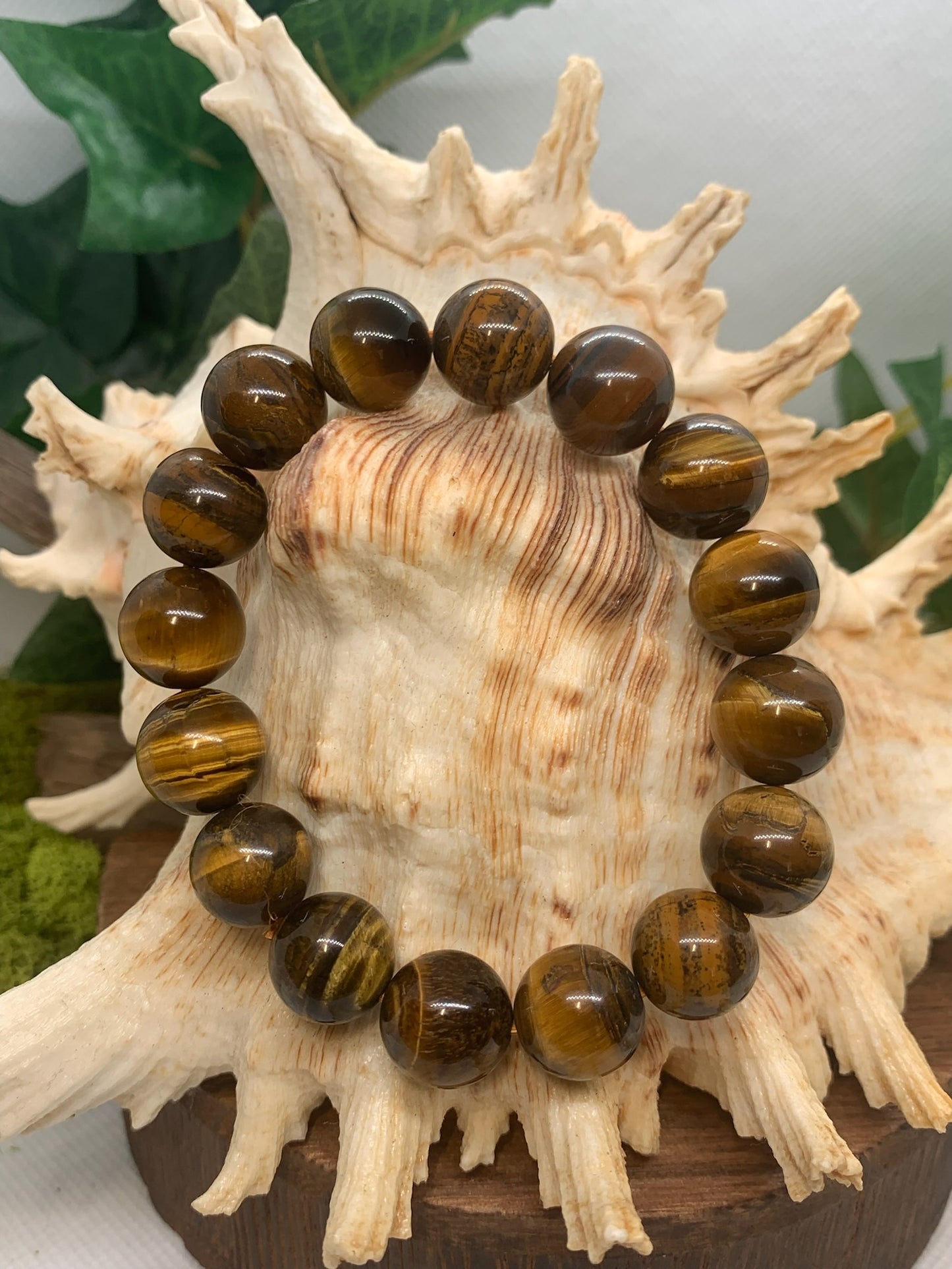 Tiger Eye Bracelet Big Bead